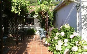 Vine Guesthouse